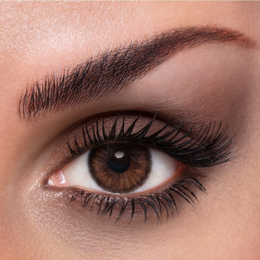 Lacelle Tri-Kolor - Stylish Brown